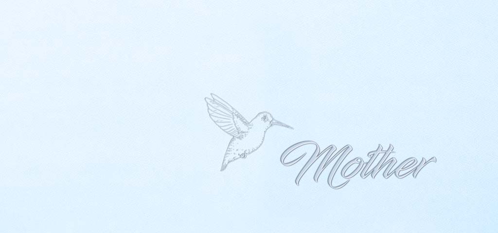 BL Faux (Mother Hummingbird) PROOF